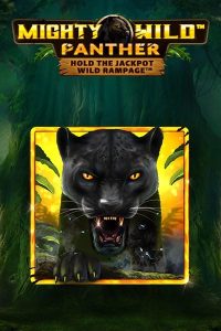 imgi_66_fa48e89f-58de-4fc7-a56a-4284e87128ec-1698677252916mightywildpanther4 (2)